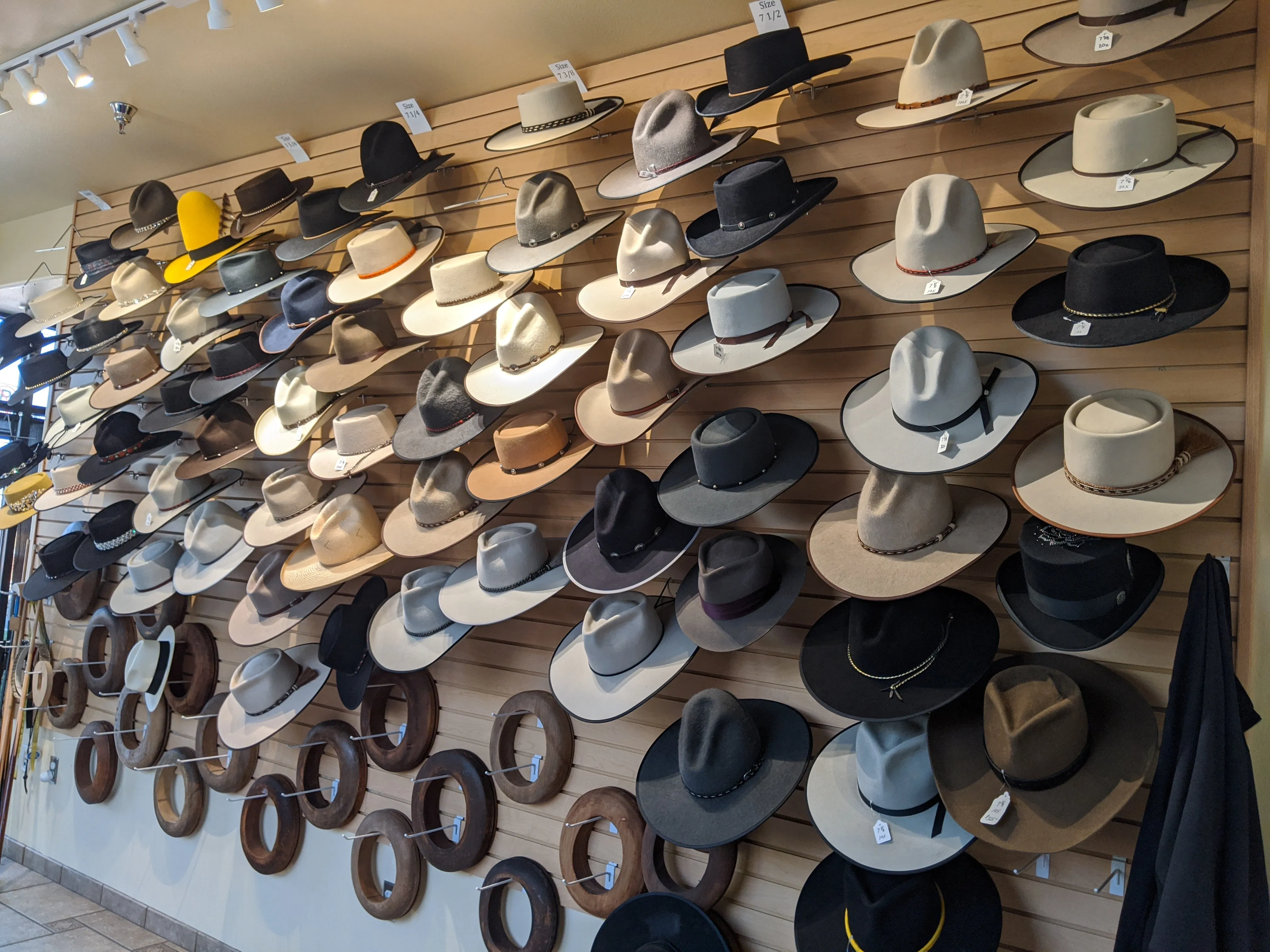 Fedora 6 3/4 (56) - White (Montecristi Panama) #20-150